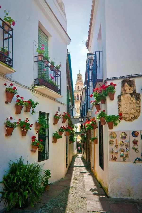 Casa Juanma Apartment Cordoba